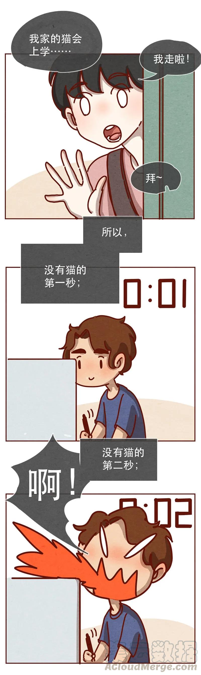 喂，看见耳朵啦 - 213话 理想与现实的差距 - 第7张图