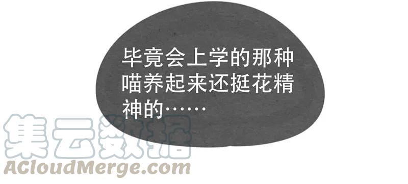 喂，看见耳朵啦 - 213话 理想与现实的差距 - 第9张图