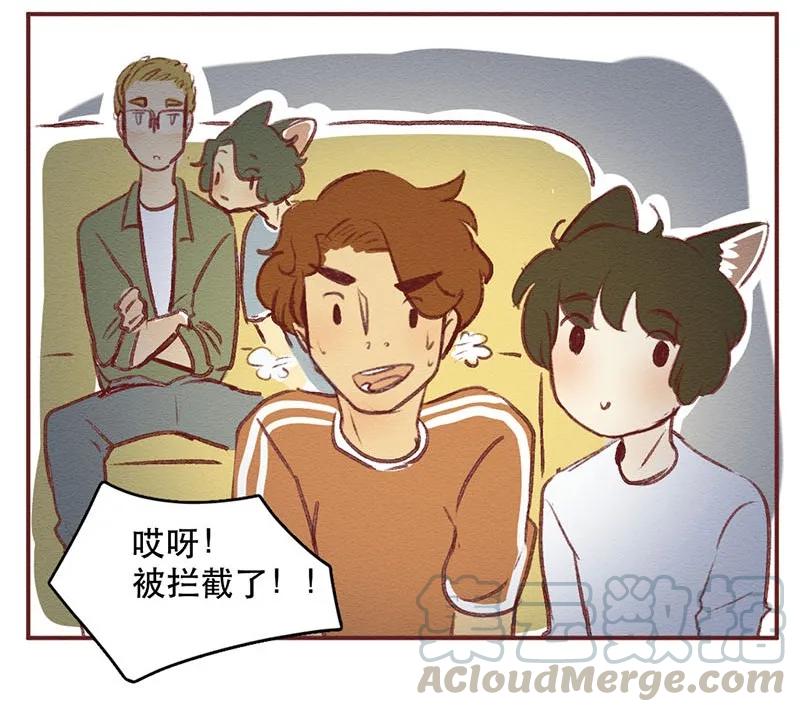 喂，看见耳朵啦 - 218话 疯狂的世界杯 - 第9张图