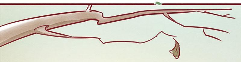 喂，看见耳朵啦 - 245话 新春特别篇 过年（一） - 第7张图