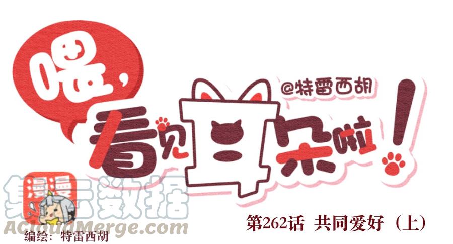 喂，看见耳朵啦 - 262话 共同爱好（上） - 第1张图