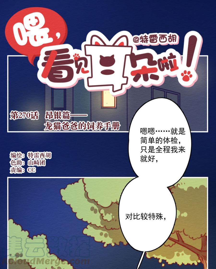 喂，看见耳朵啦 - 270话 昂银篇——龙猫爸爸的饲养手册 - 第1张图