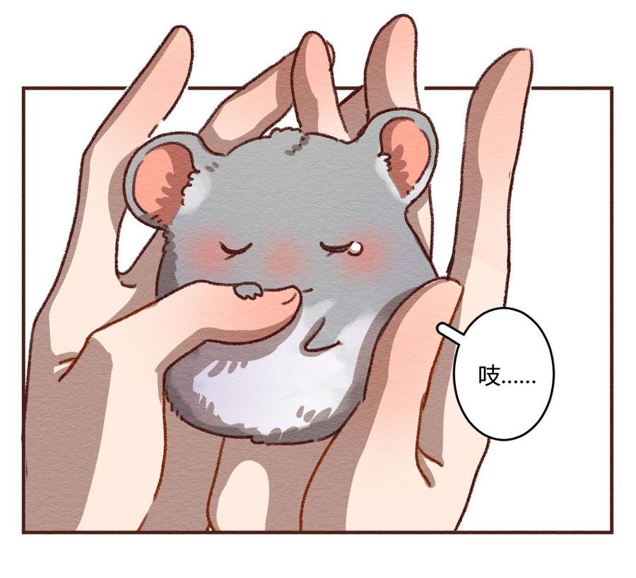 喂，看见耳朵啦 - 272话 昂银篇：龙猫爸爸的饲养手册（三） - 第6张图