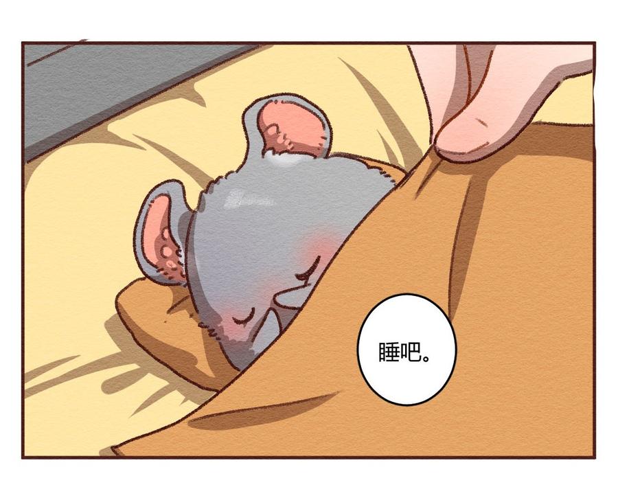 喂，看见耳朵啦 - 272话 昂银篇：龙猫爸爸的饲养手册（三） - 第8张图