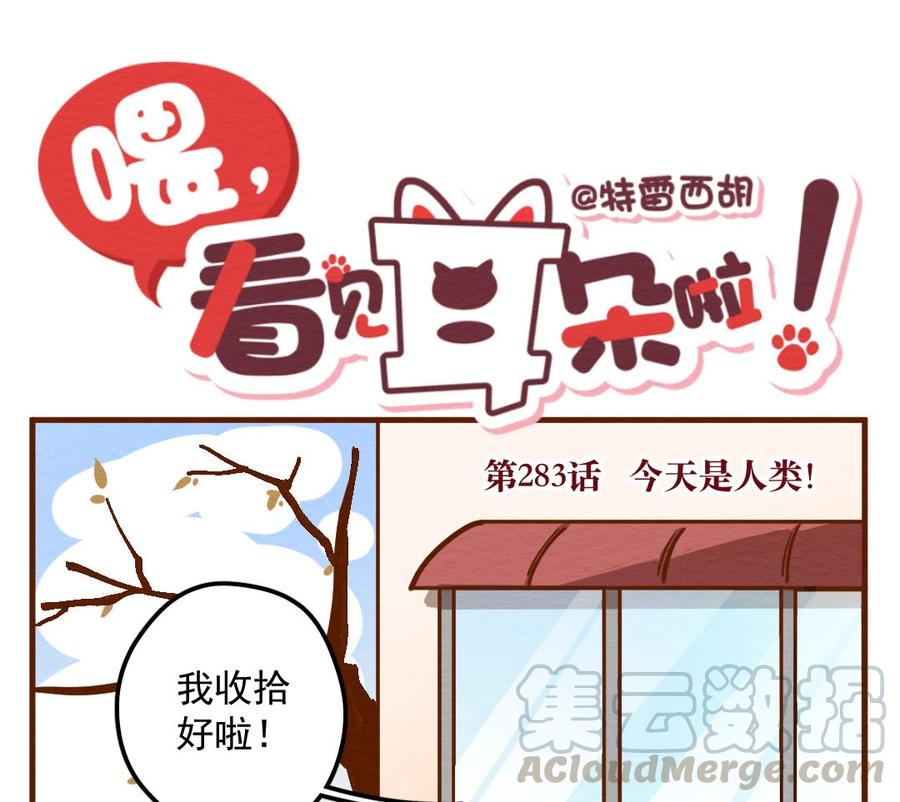 喂，看见耳朵啦 - 283话 今天是人类！ - 第1张图