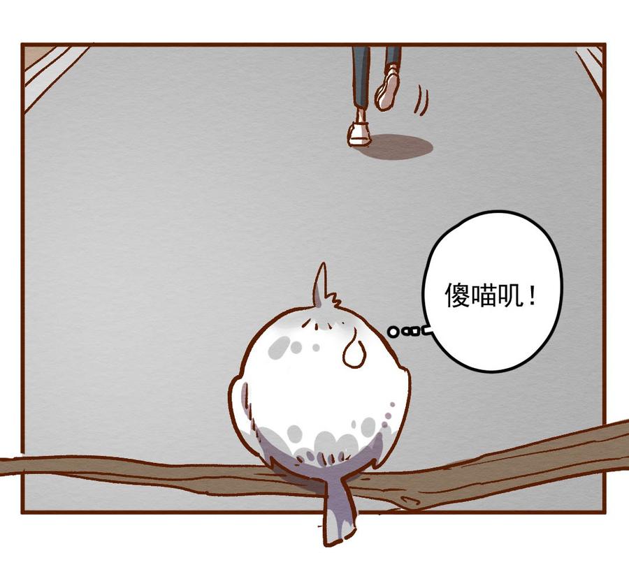 喂，看见耳朵啦 - 283话 今天是人类！ - 第11张图