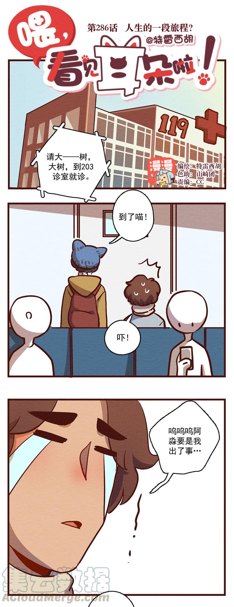 喂，看见耳朵啦 - 286话 人生的一段旅程？（二） - 第1张图