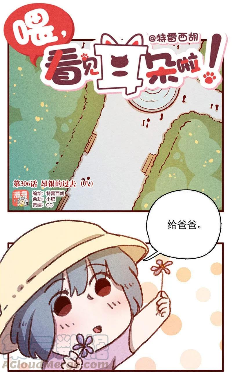 喂，看见耳朵啦 - 306话 昂银的过去（八） - 第1张图