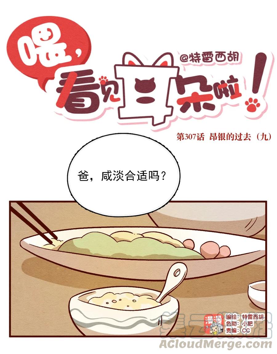 喂，看见耳朵啦 - 307话 昂银的过去（九） - 第1张图