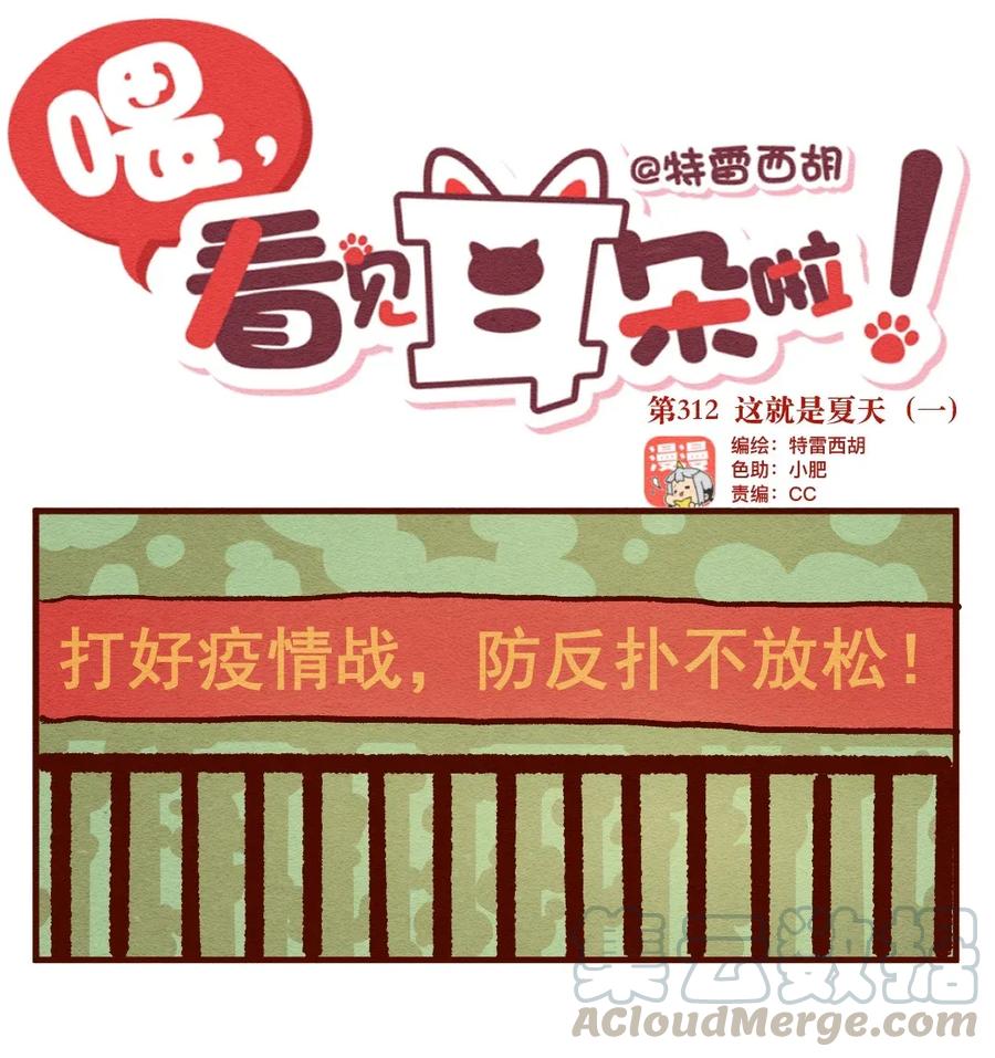 喂，看见耳朵啦 - 312话 这就是夏天（一） - 第1张图