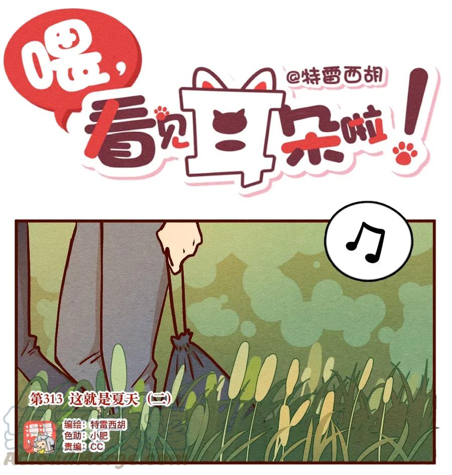 喂，看见耳朵啦 - 313 这就是夏天（二） - 第1张图