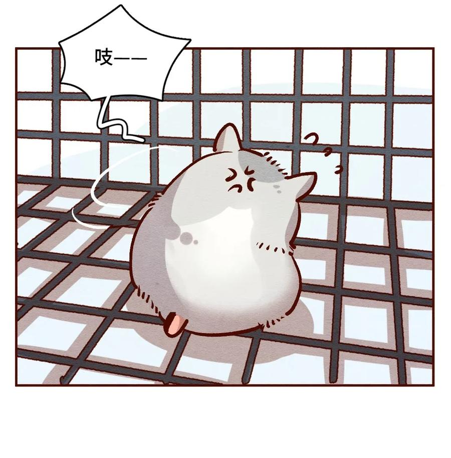 喂，看见耳朵啦 - 315话 孤立危机 - 第11张图