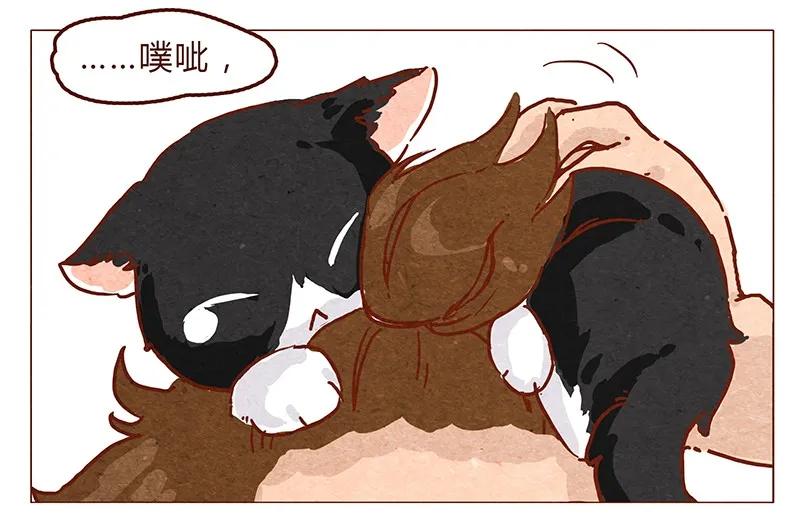 喂，看见耳朵啦 - 第48话 尾巴 - 第15张图