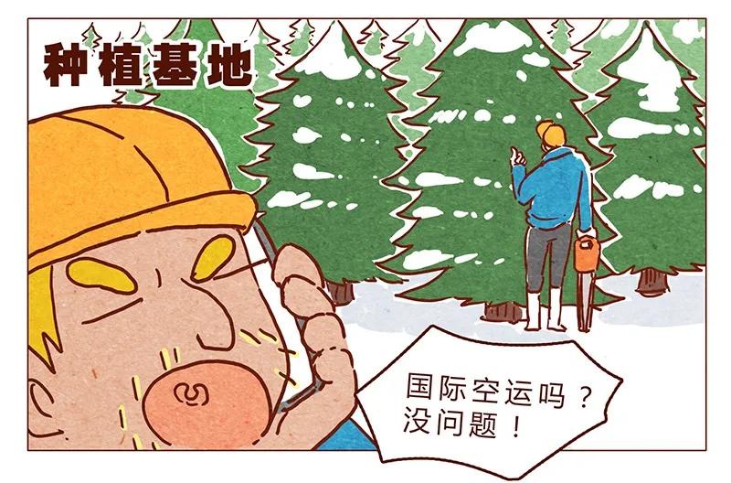 喂，看见耳朵啦 - 第62话 那个国家的习俗居然是！？ - 第2张图