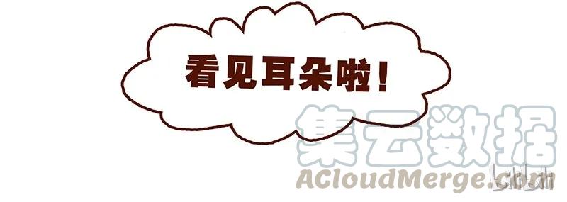 喂，看见耳朵啦 - 第66话 摘掉帽子吧！ - 第17张图