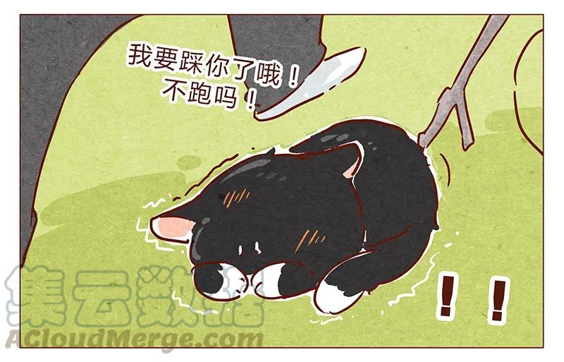 喂，看见耳朵啦 - 第74话 是不是所有人都讨厌我？ - 第9张图