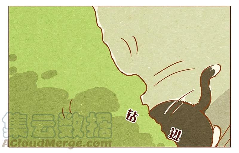 喂，看见耳朵啦 - 第77话 人类好可怕 - 第5张图