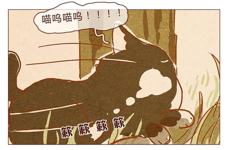 喂，看见耳朵啦 - 第78话 人类也有不坏的么？ - 第4张图