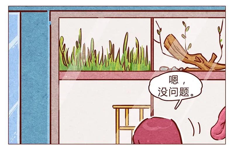 喂，看见耳朵啦 - 第86话 熟悉的小耗子 - 第2张图