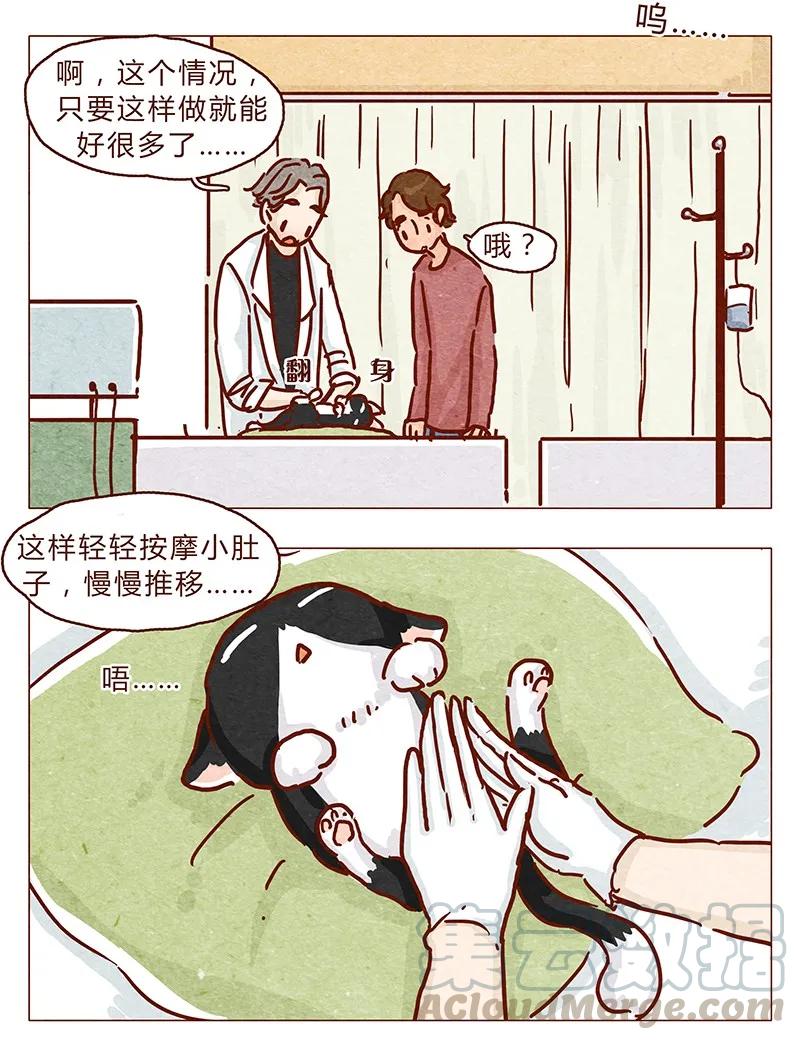 喂，看见耳朵啦 - 第89话 阿淼医院初体验 - 第9张图