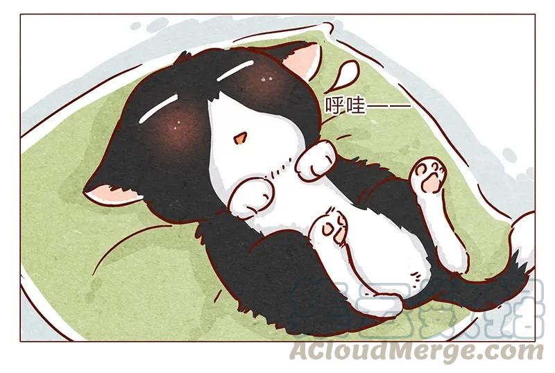 喂，看见耳朵啦 - 第89话 阿淼医院初体验 - 第13张图