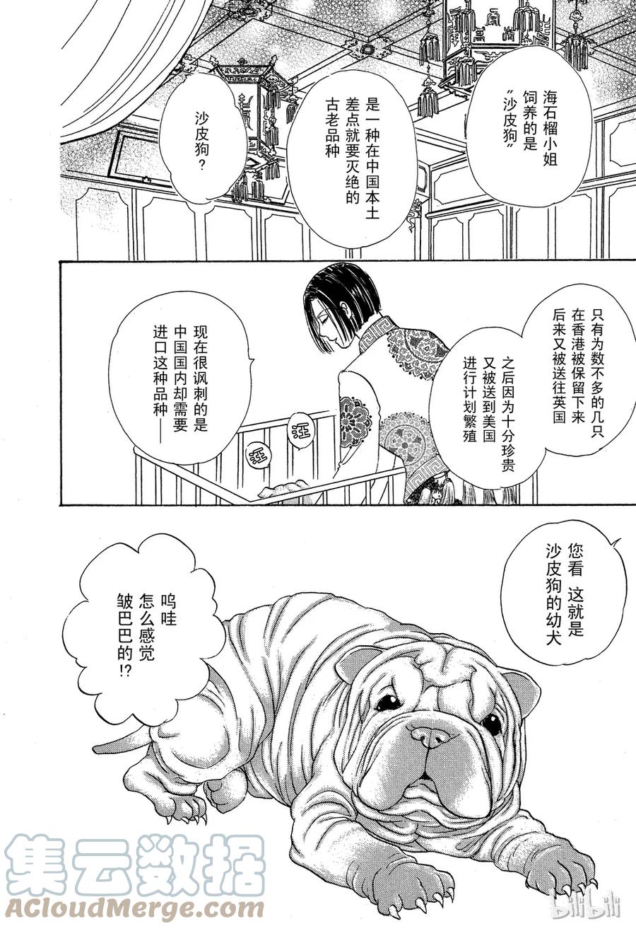 《新恐怖宠物店》029 Dead stock 第52页