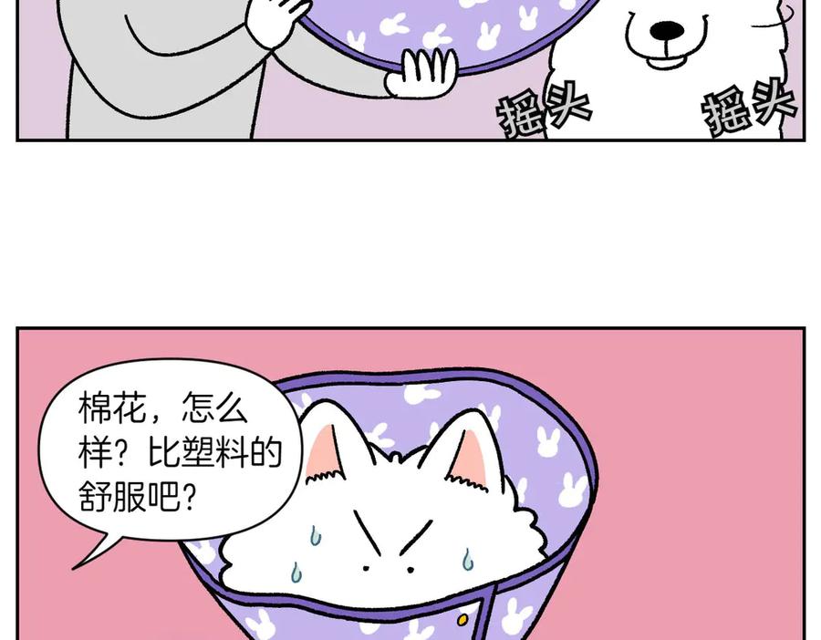 《我的狗子叫棉花》第44话 治疗眼病(3) 第44页