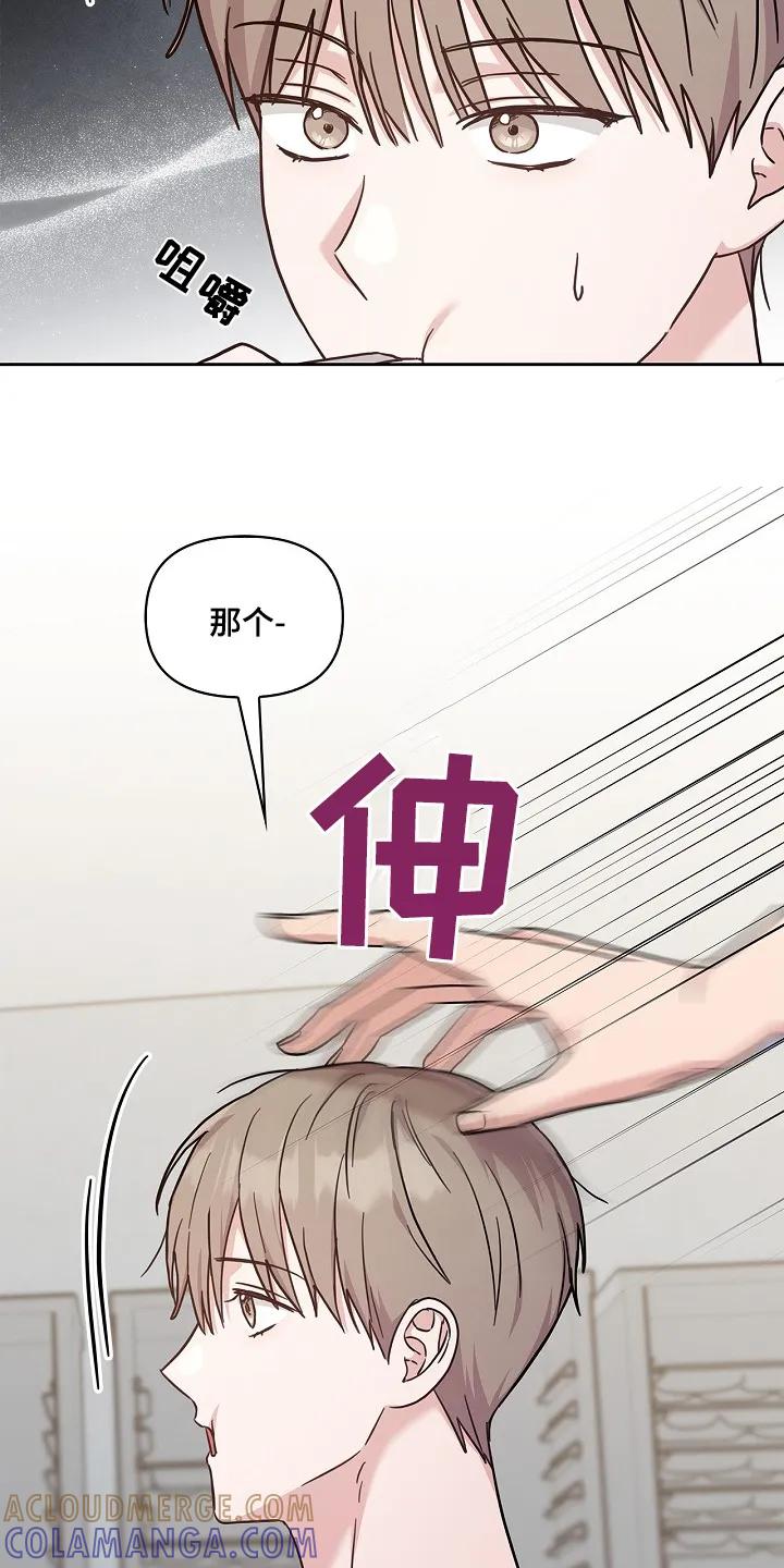 能力伪装者 第56章：什么时候 第11页