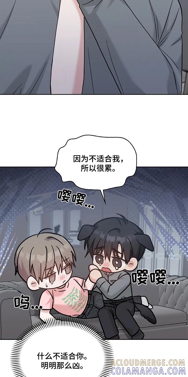 能力伪装者 第84章：不会忘记 第11页