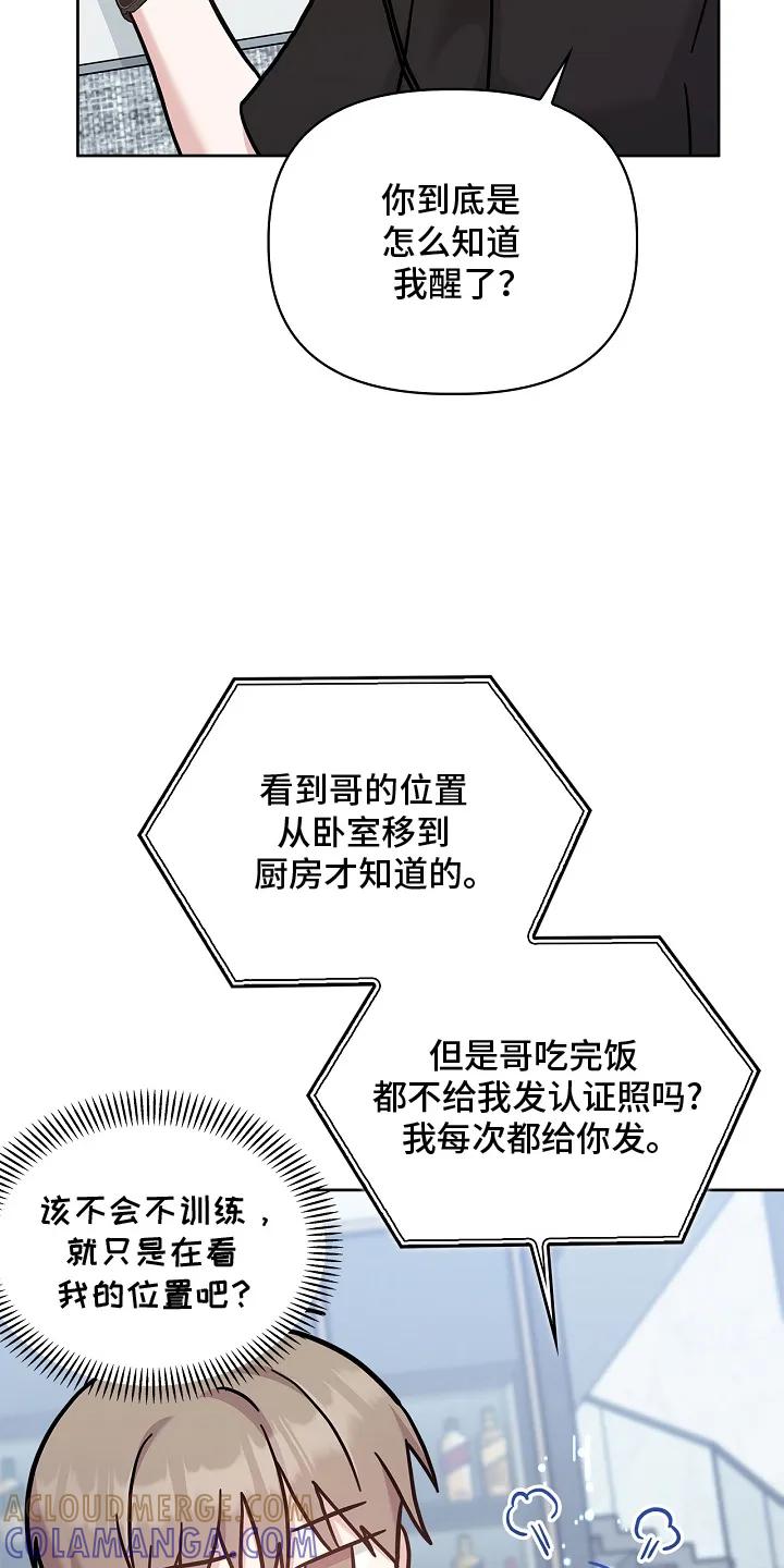 能力伪装者 第96章：好看 第27页