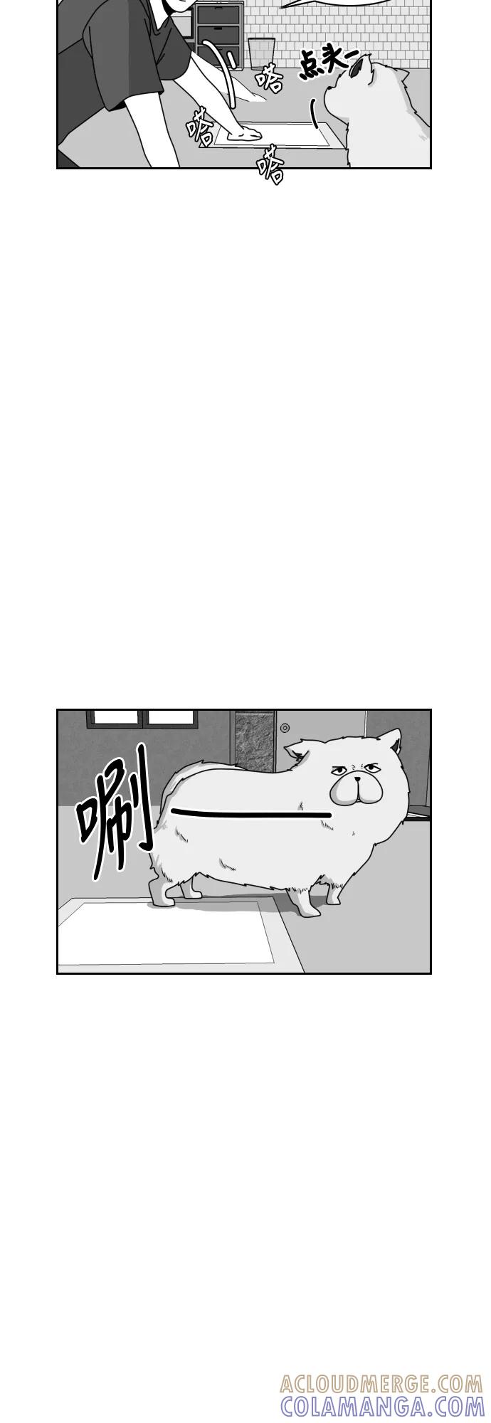 《异姓兄弟和平共处法则》[第35话] 真面目 第7页