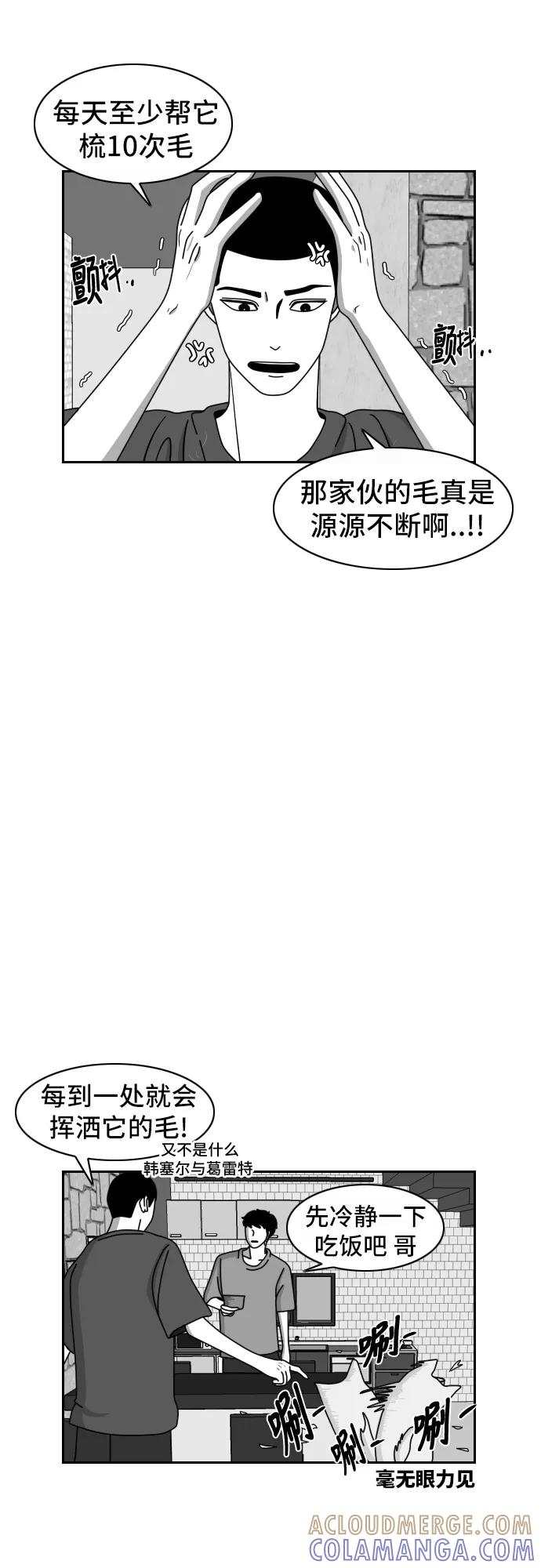 《异姓兄弟和平共处法则》[第41话] 白毛 第9页