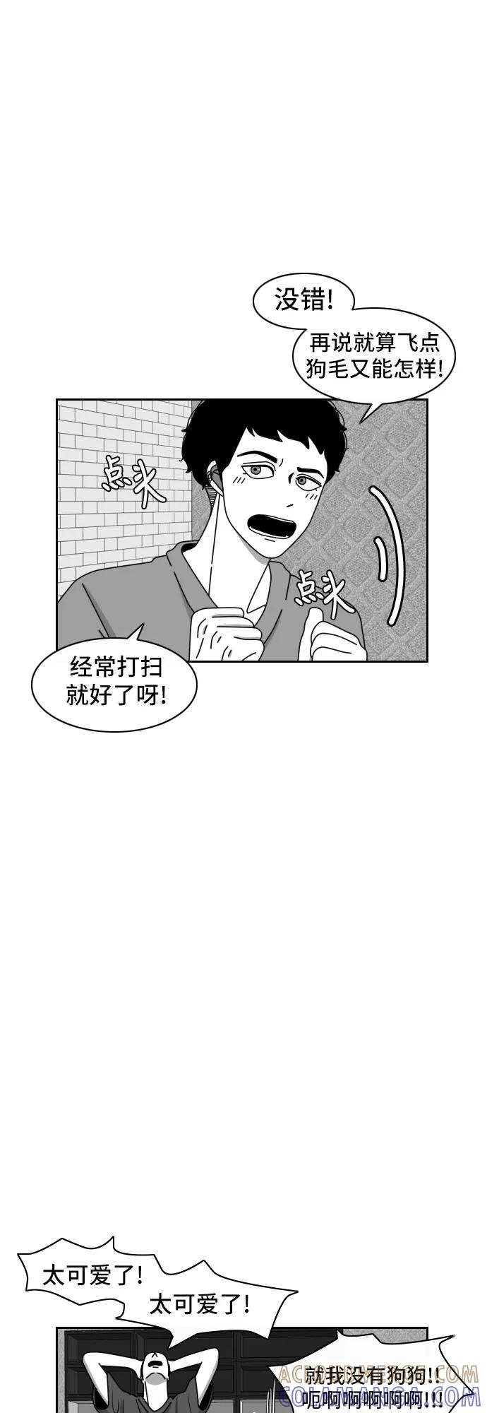 《异姓兄弟和平共处法则》[第41话] 白毛 第3页