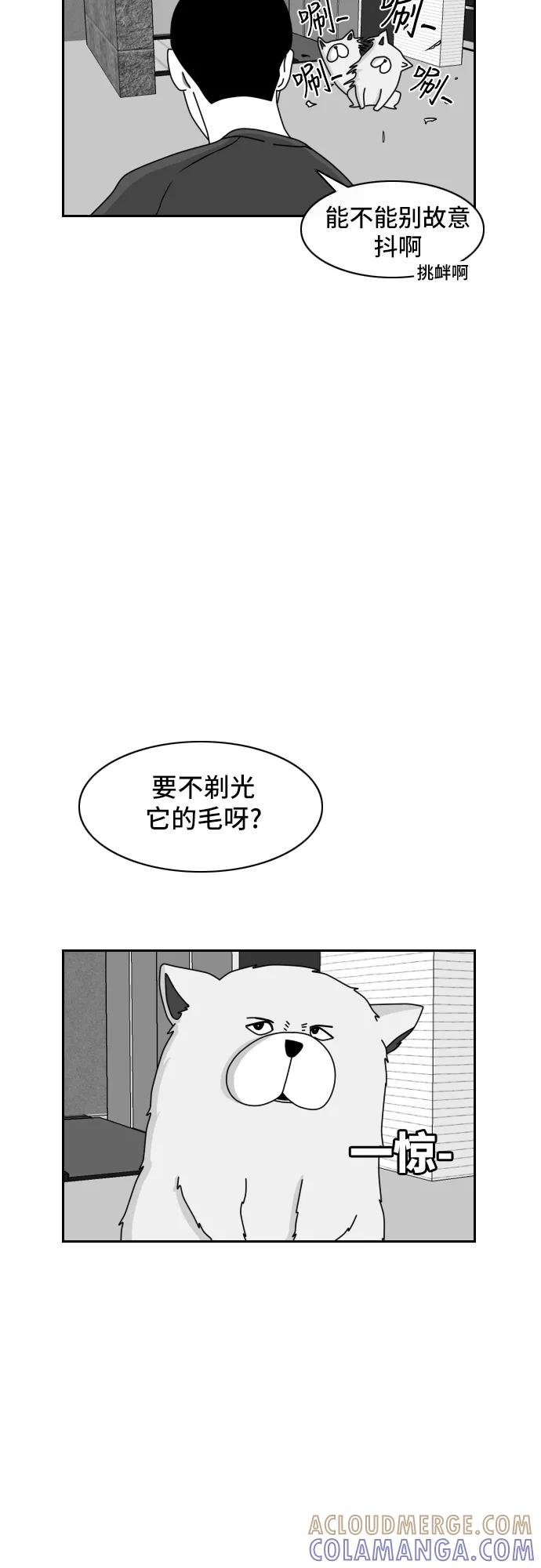 《异姓兄弟和平共处法则》[第41话] 白毛 第13页