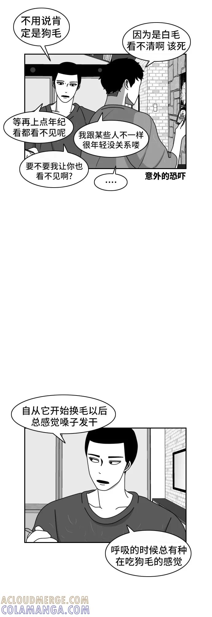 《异姓兄弟和平共处法则》[第41话] 白毛 第11页