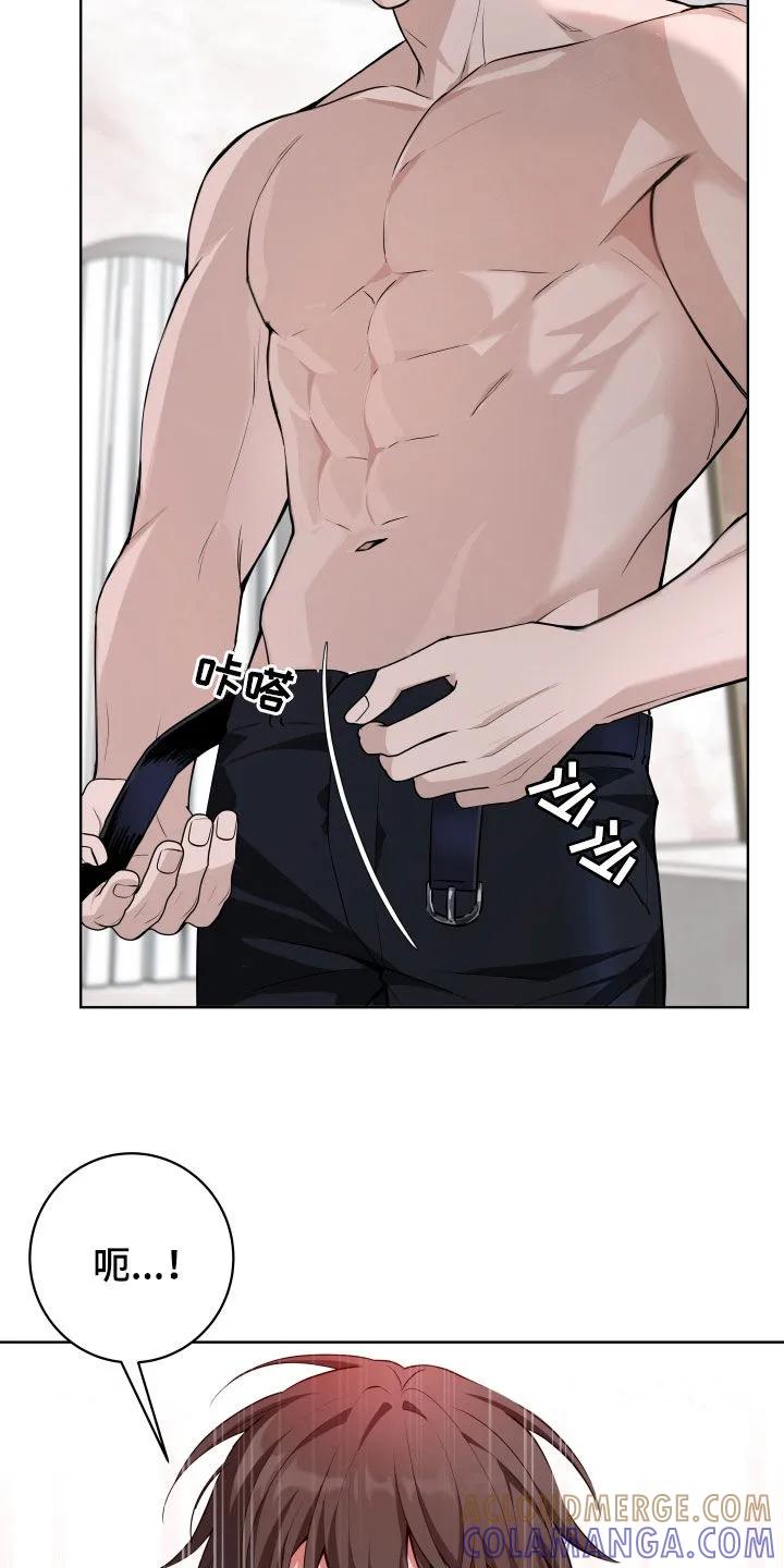 《恋爱三骑士》第61章：【第二季】惊喜 第23页