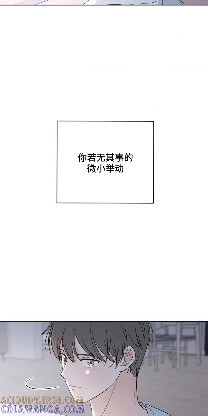 《双生痕》第10章：只有 第5页
