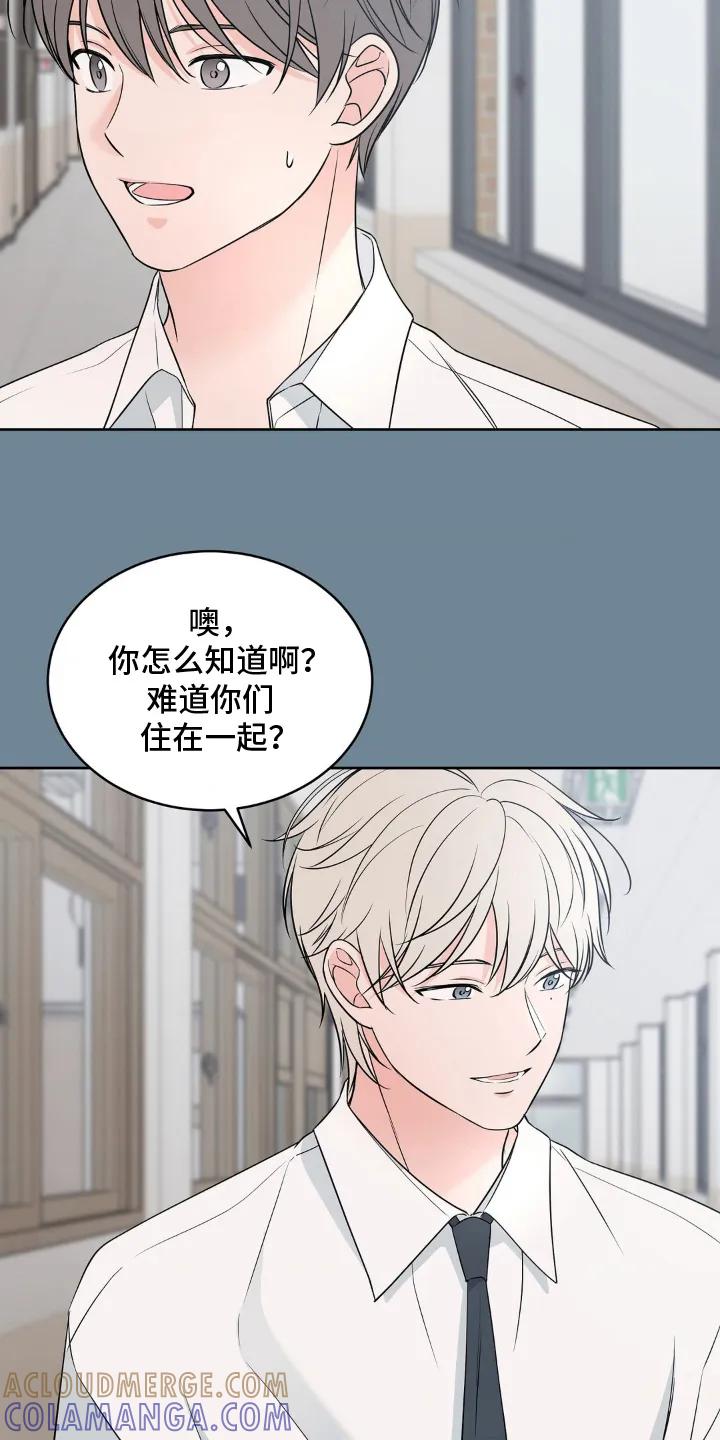 《双生痕》第8章：真有趣 第19页