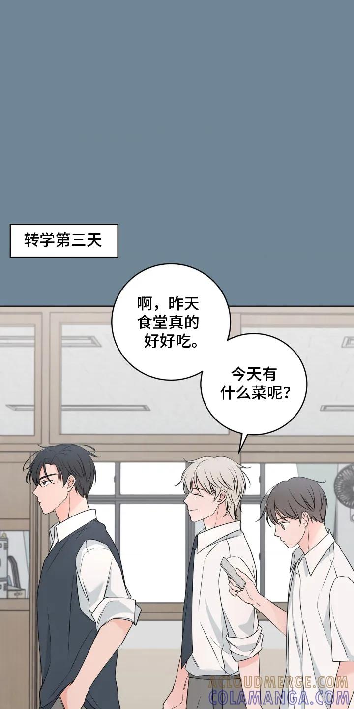 《双生痕》第8章：真有趣 第13页