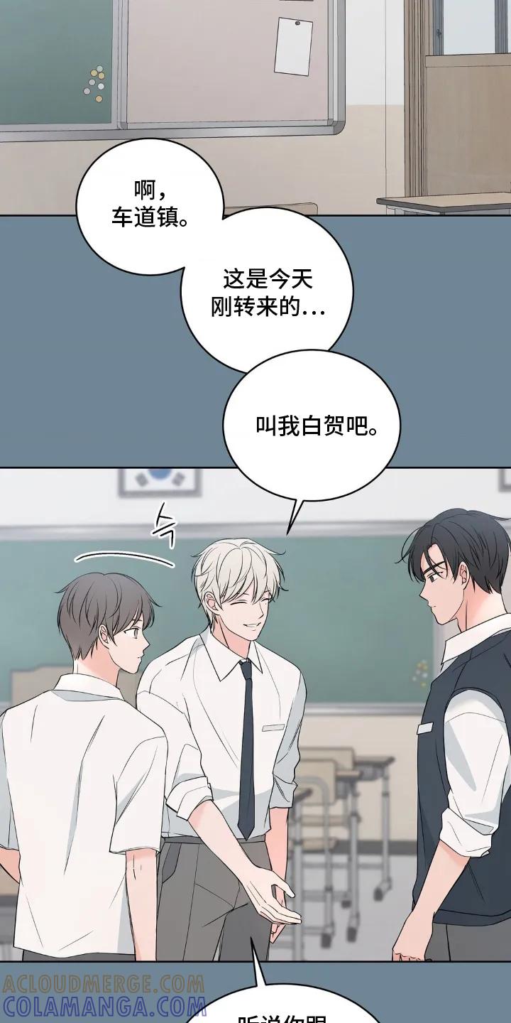 《双生痕》第8章：真有趣 第9页