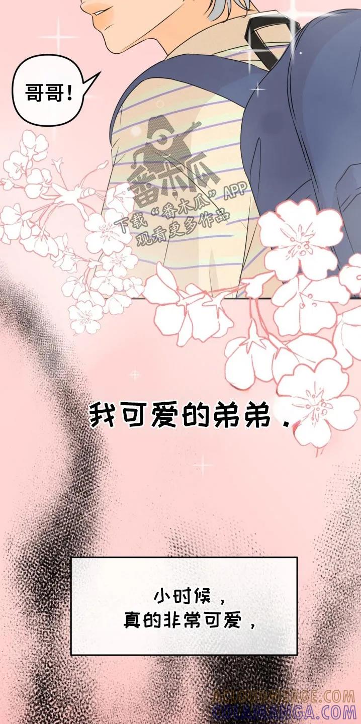 香味的边界 - 第49章：我可爱的弟弟 - 第15张图