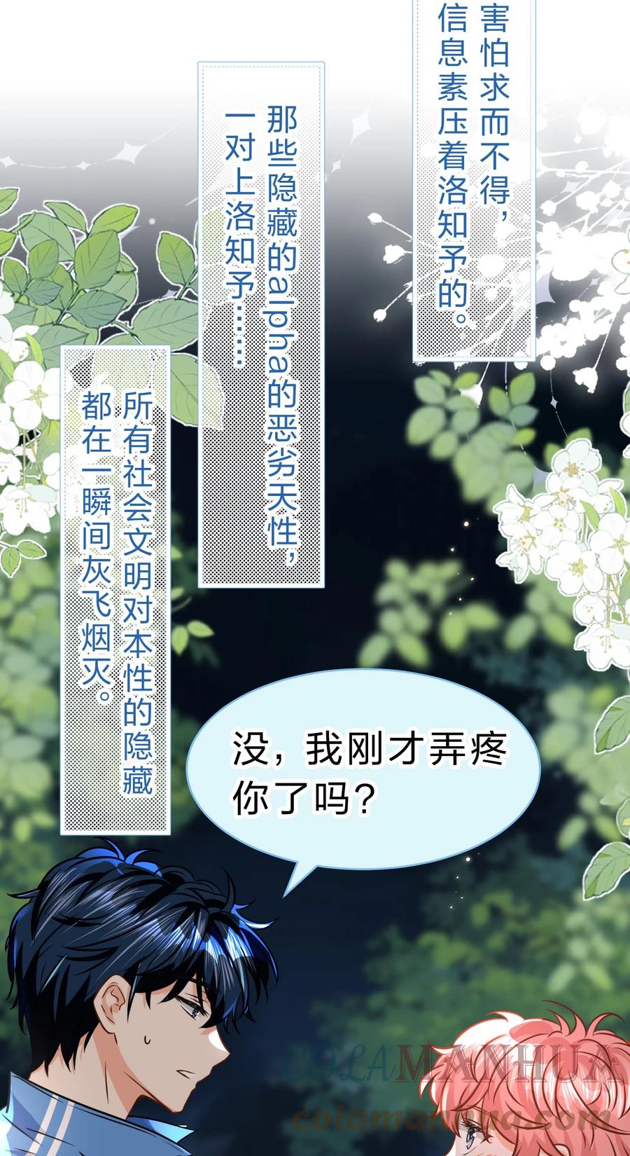 《信息素说我们不可能》67 喜欢我吧好不好，洛知了 第19页