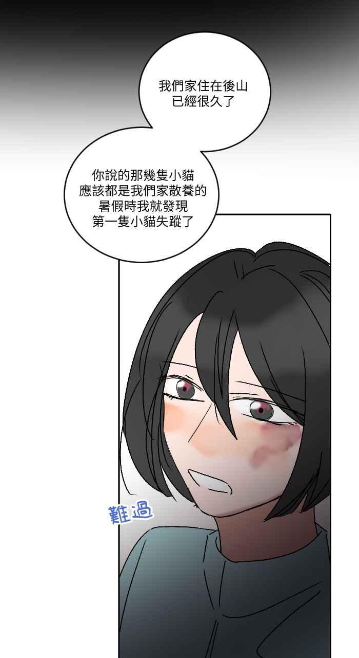 《心证的画笔》第18话 三只猫猫 第18页
