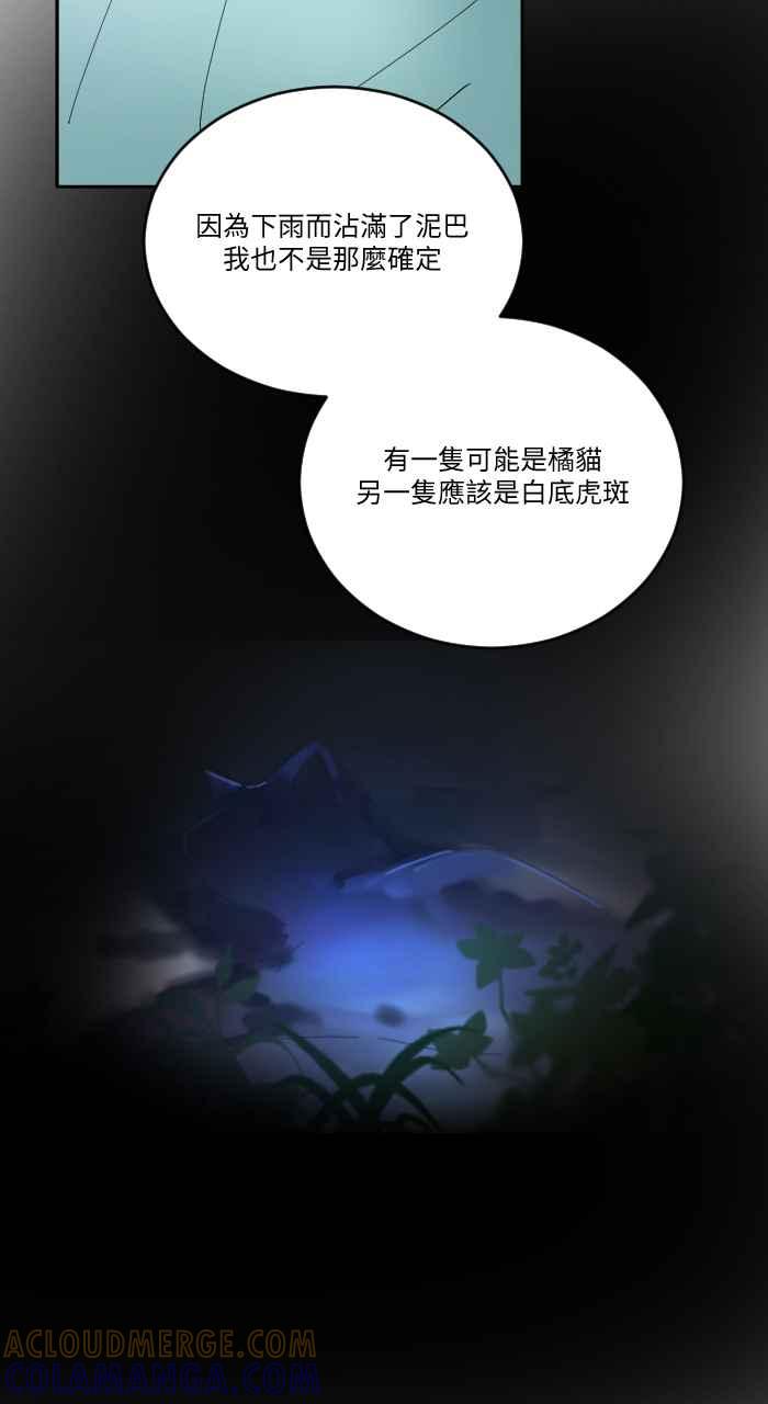 《心证的画笔》第18话 三只猫猫 第17页