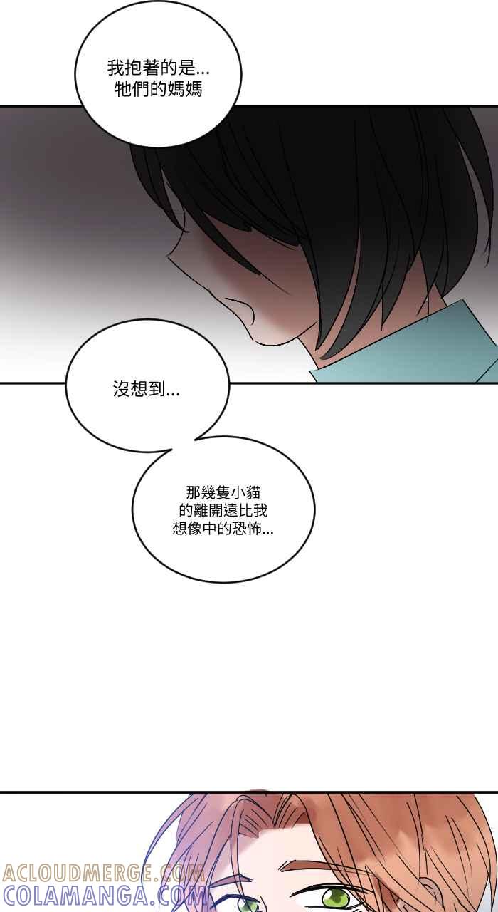 《心证的画笔》第18话 三只猫猫 第23页