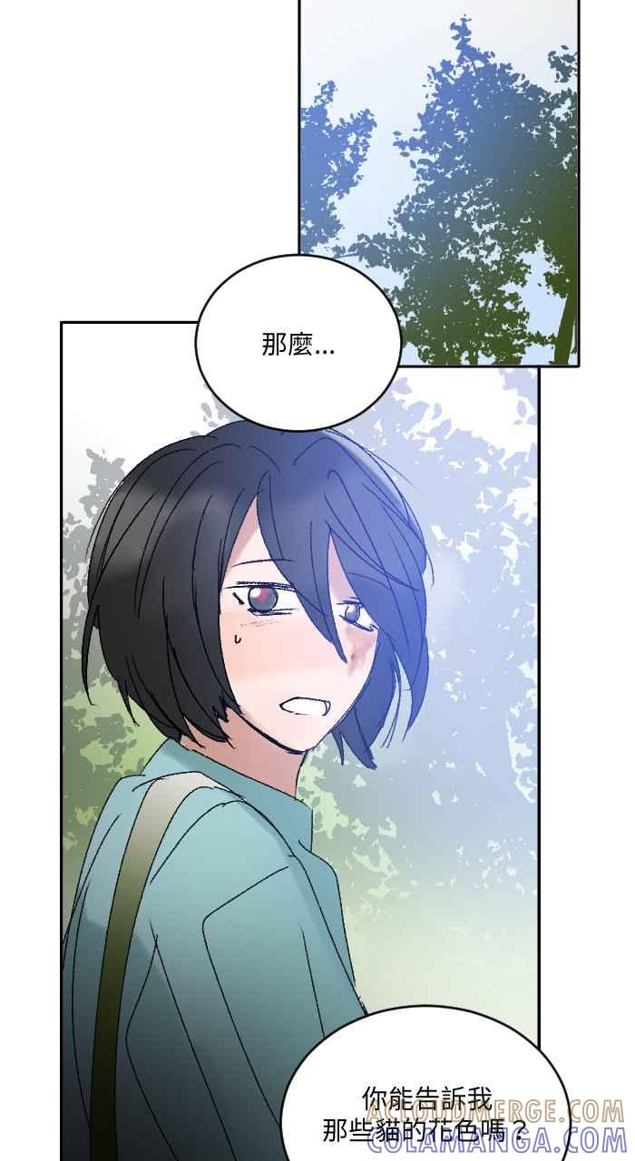 《心证的画笔》第18话 三只猫猫 第11页