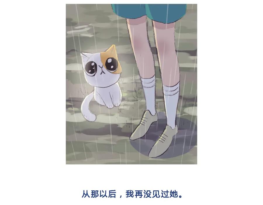 《心之彼岸之雷雨国度》回顾 猫咪与我的回忆 第14页