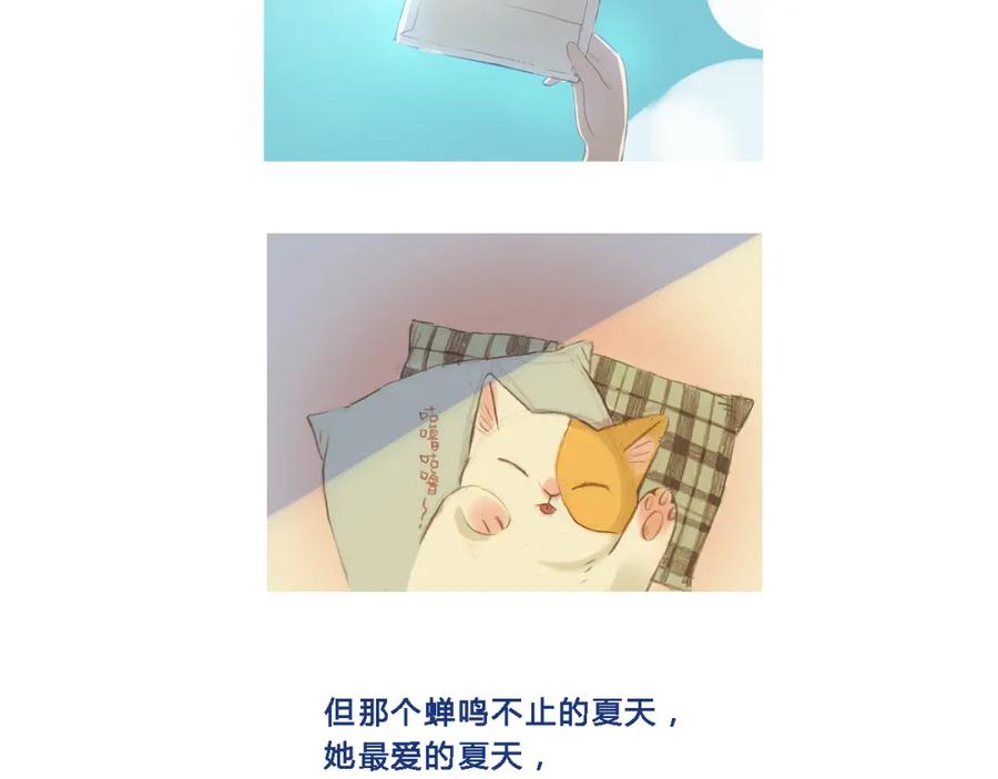 《心之彼岸之雷雨国度》回顾 猫咪与我的回忆 第16页