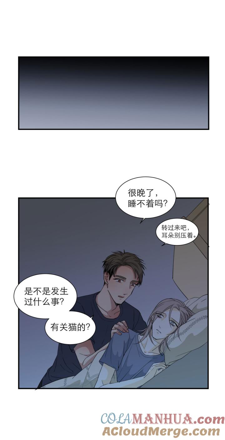 心之茧 - 110 101 猫与秘密 - 第9张图