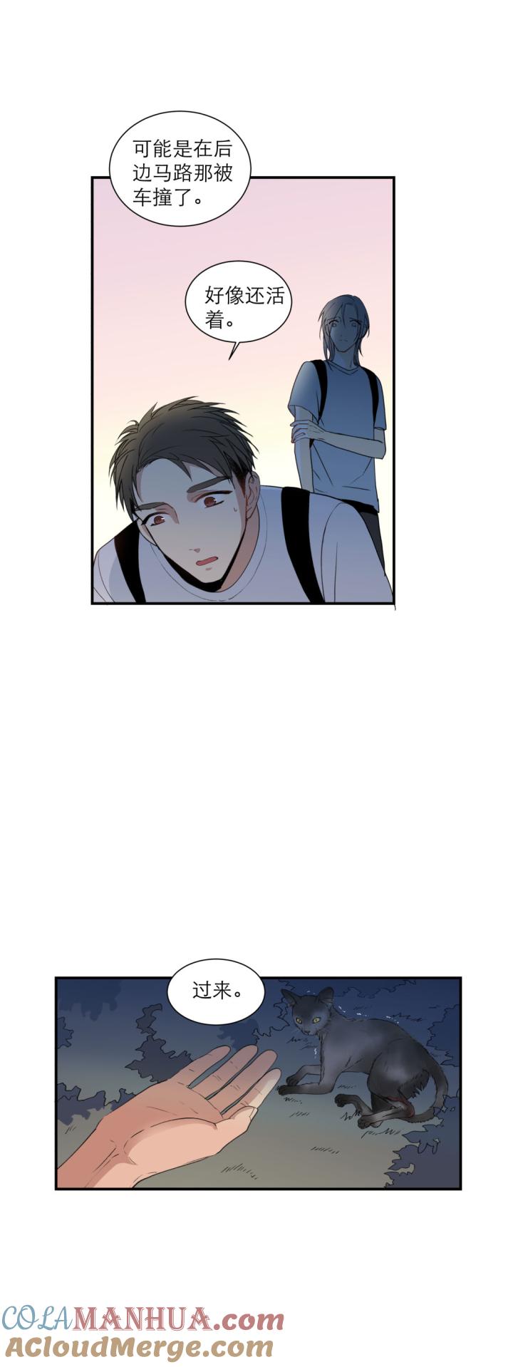 心之茧 - 110 101 猫与秘密 - 第5张图